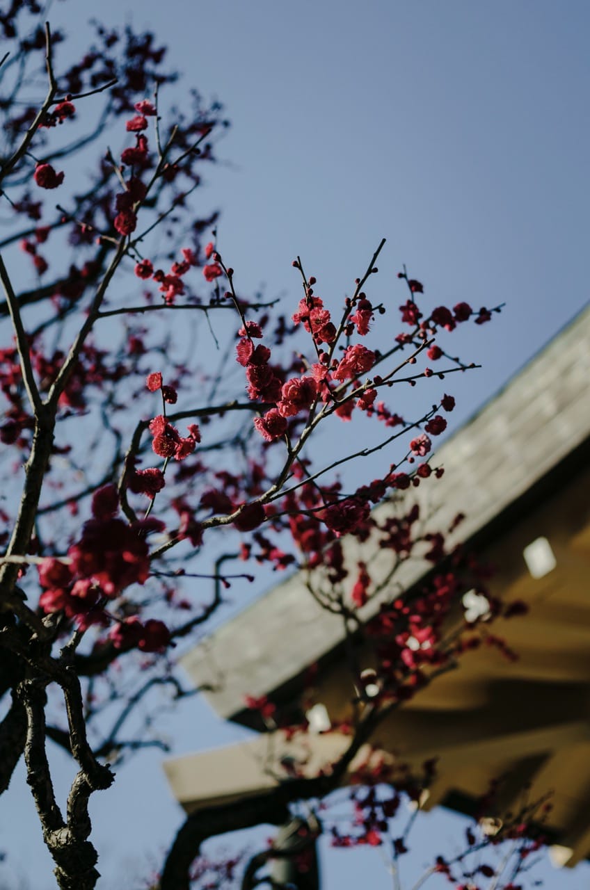 Превью Tokyo 2024